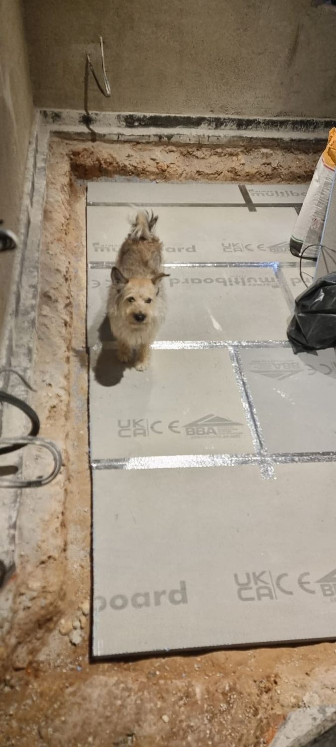 We have a guest - checking works