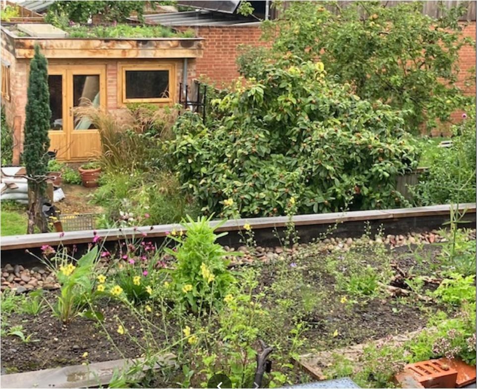 Flowering green roof extension
